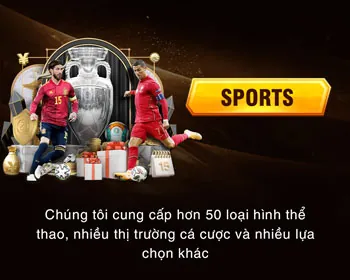 Sân vận động với các biểu tượng bóng đá, bóng rổ, tennis và logo vi84
